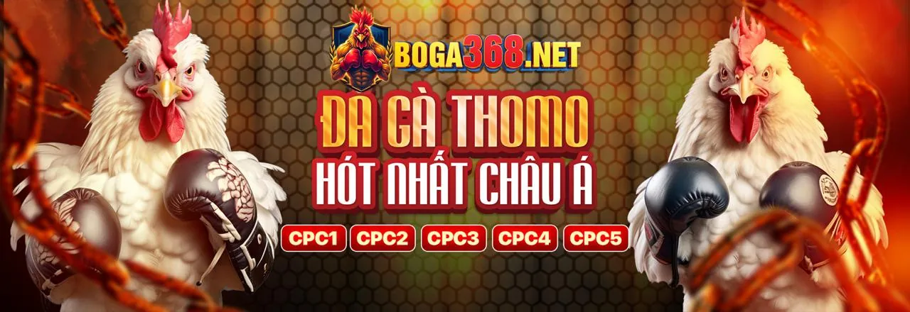 Chương trình VIP cm888 code