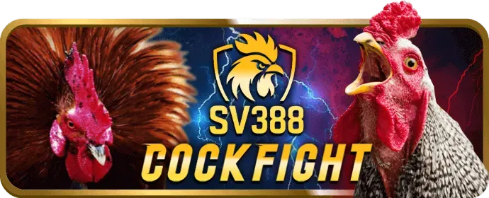 Hướng dẫn casino trực tuyến cm888 code